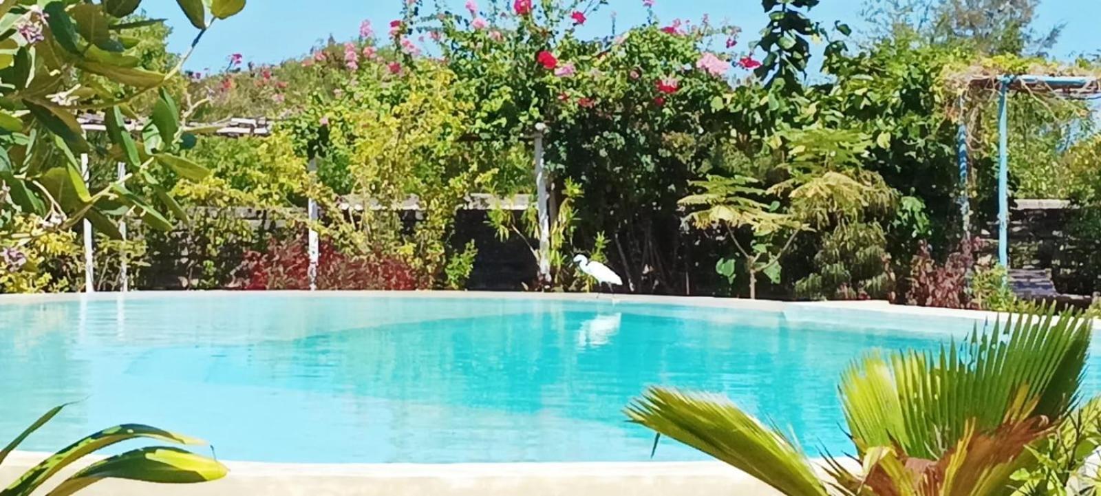 Matemwe Ocean View Villas Eksteriør bilde